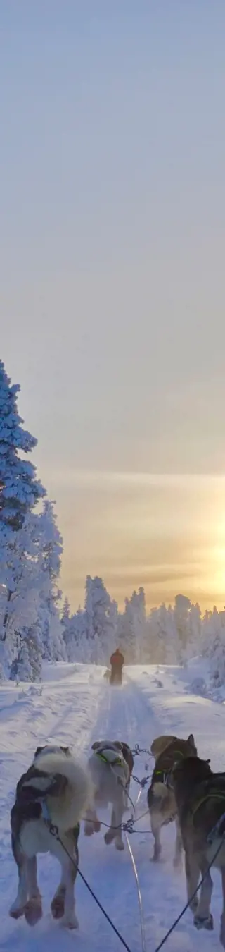 Klassische Lappland-Winter-Tour perfekt für Einsteiger